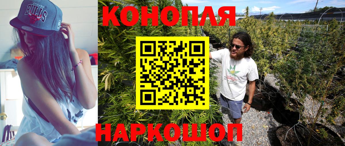 Канабис марихуана  Конопля конопля  Вход с VPN  Бошки марихуана сатива  Канабис тримм  Пенза 